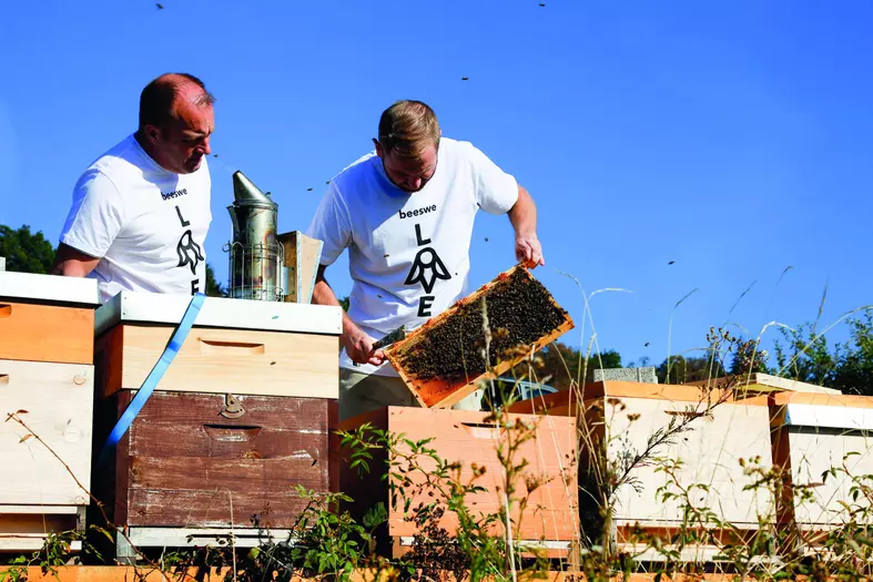 Bienenbeute