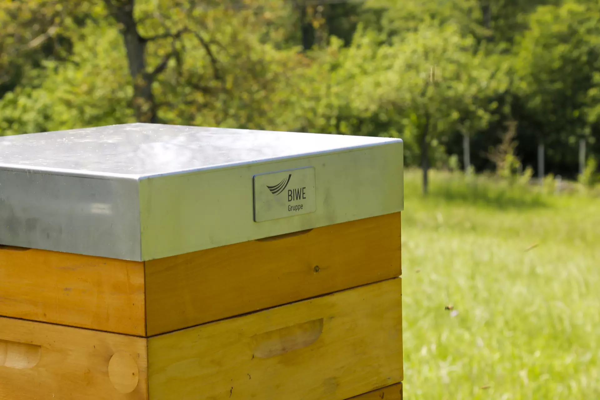 Biwe Bienen